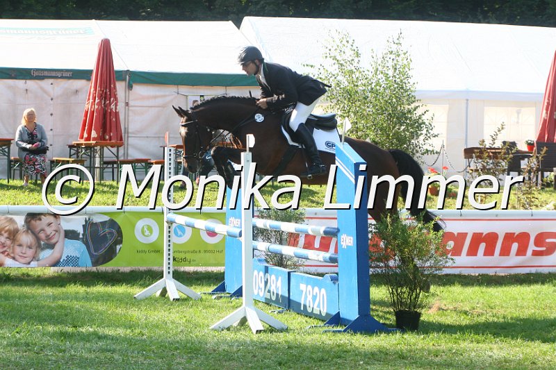 308M9343_Nashville_Springpferde A.JPG